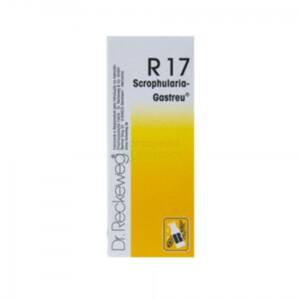 r17_dr._reckeweg