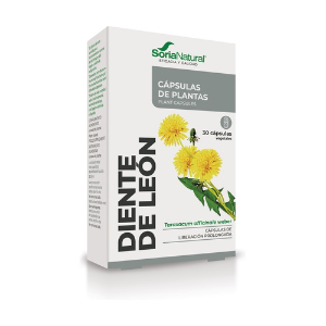 Dente leão - 30 caps