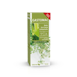 Gastomac xarope - 250 ml